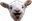 OMGoat