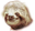 Slothboiboi