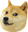 DogeTheDog