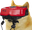 VirtualDoge