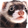 SliqWeasel