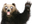 bearGya