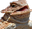 LizardFace