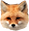 FoxerZ