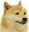 FeelsBadDoge