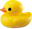 LittleDucky