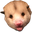 DaPossum