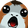 porgPOG