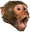 Monkey2