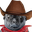 sealWhyCowboy