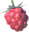 botwWildberry
