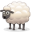 sSheep