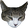 qwnCat