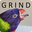 birdGrind