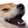 DogeLUL