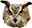 owlRekU