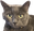 sm0k3yCat