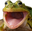 FrogChamp