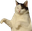 KittyDance2