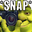 PlogSnap