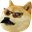 CDoge