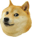 :doge: