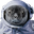 sealWhyAstronaut