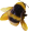 KappaBee