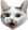 PogCat