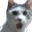 PogCat