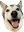 carlDoggo