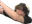 waglDab