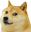 LazapDoge