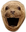 PogSeal