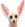 gabFennec