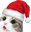 grandCatChristmas