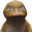 amiDuck