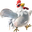 Cucco