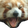 AAAAAAAAAAAAAAAAA