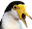 BirdChamp