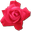 RoseRed