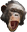 PogChimp