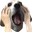 NotLikeDog