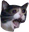 Crycat