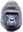 millyHarambe