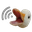 duckHonkR