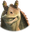 StarWarsJarJar