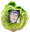 LeanneLettuce