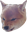 shibaAngry