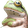 frogNO